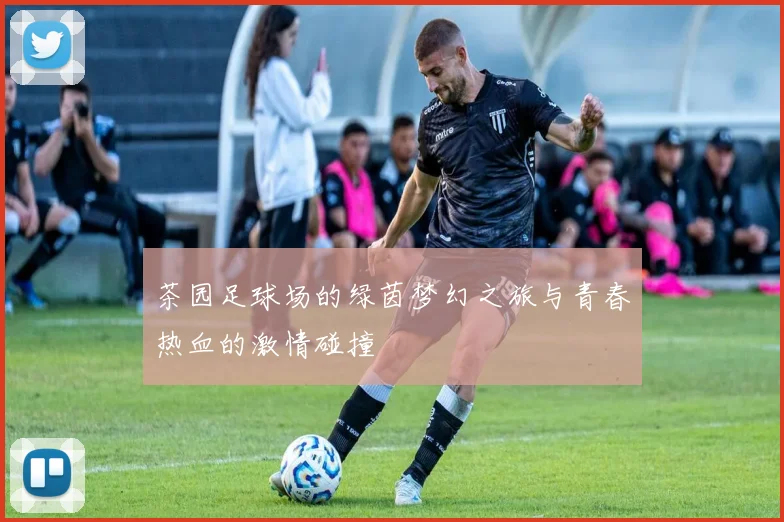 茶园足球场的绿茵梦幻之旅与青春热血的激情碰撞