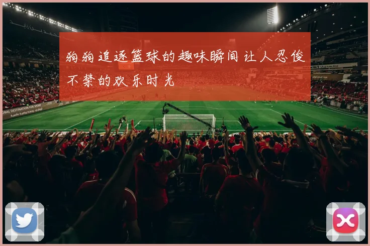 狗狗追逐篮球的趣味瞬间让人忍俊不禁的欢乐时光