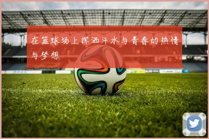 在篮球场上挥洒汗水与青春的热情与梦想