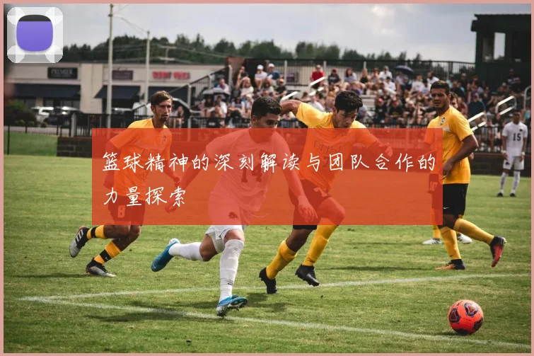 篮球精神的深刻解读与团队合作的力量探索
